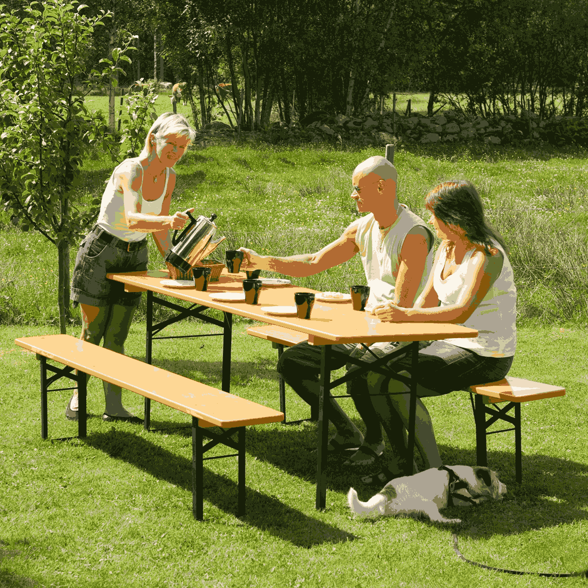 Bänkset inkl. två bänkar