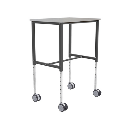 Ergonomisk rullbord, 800x570x720mm, 200kg, inkl. broms, Grå, Mörkgrå